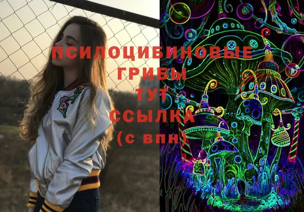 MDMA Инсар